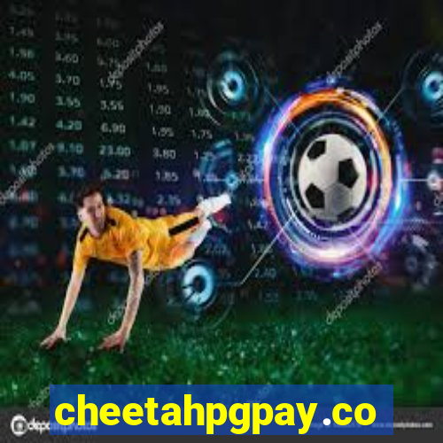 cheetahpgpay.com