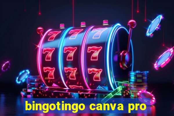 bingotingo canva pro