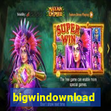 bigwindownload