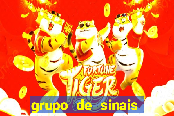 grupo de sinais fortune rabbit