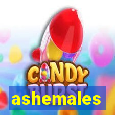 ashemales