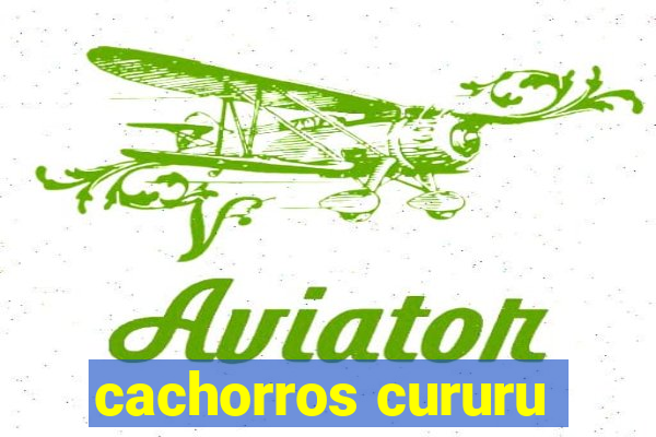 cachorros cururu